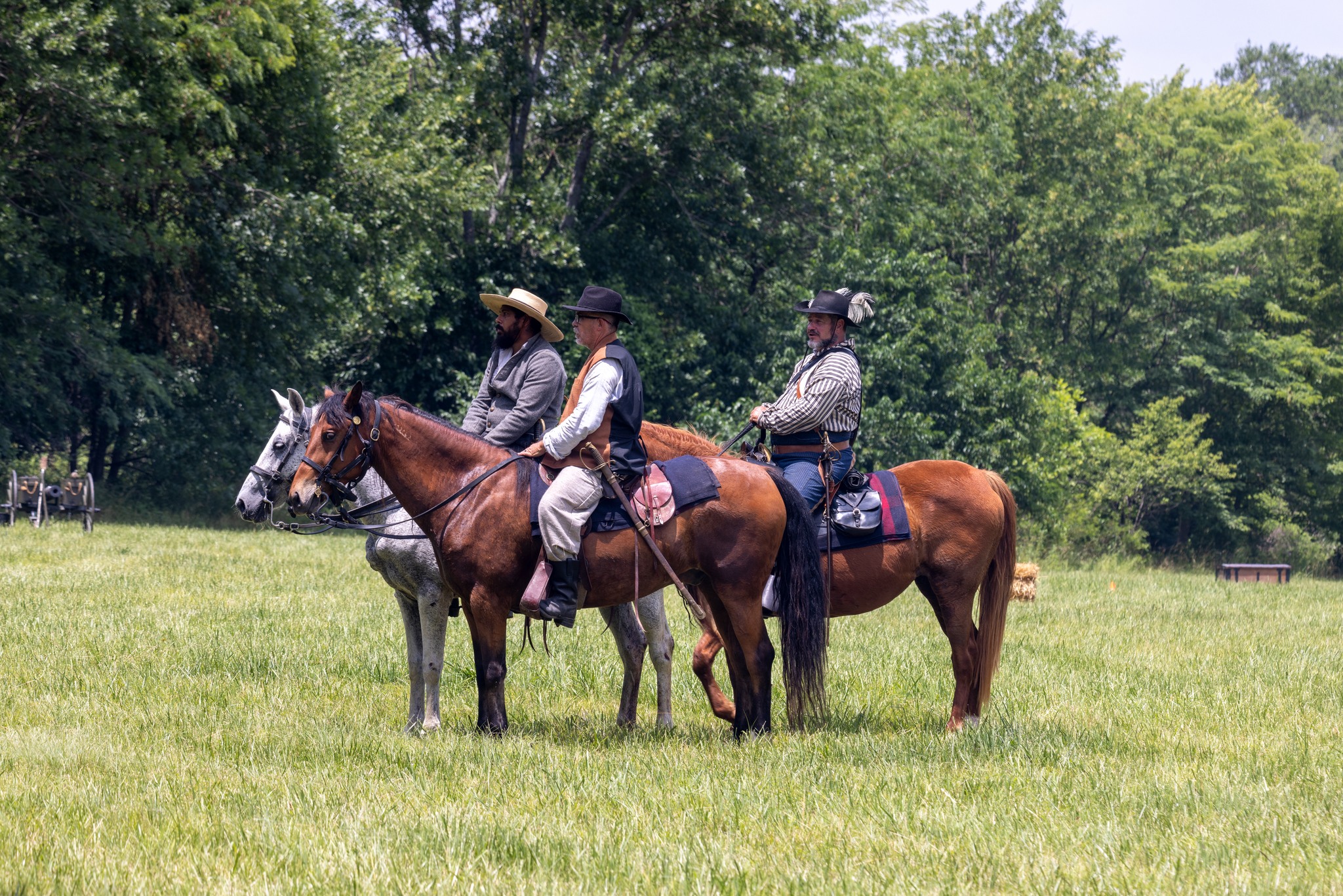Cavalry