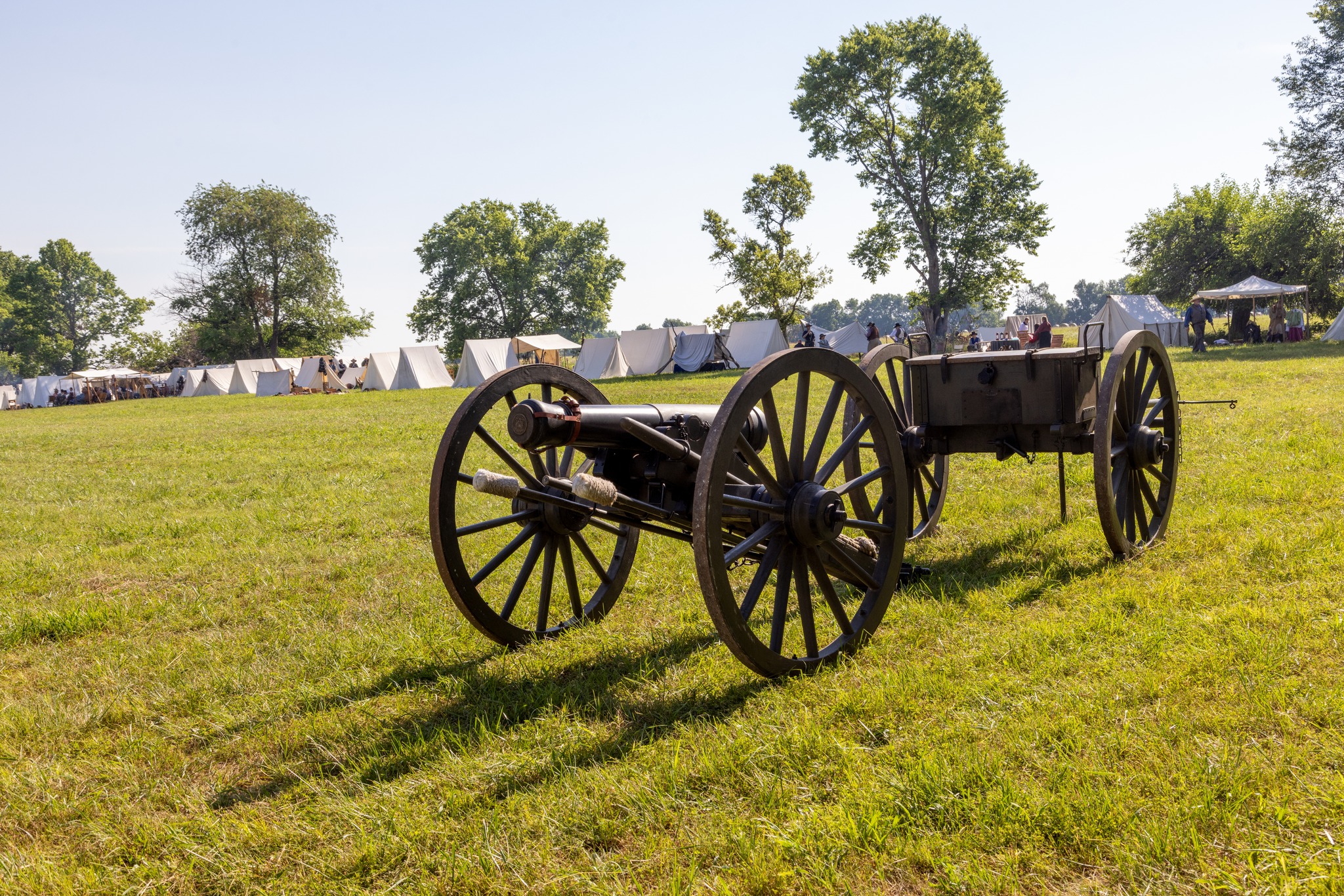 Cannon on the field