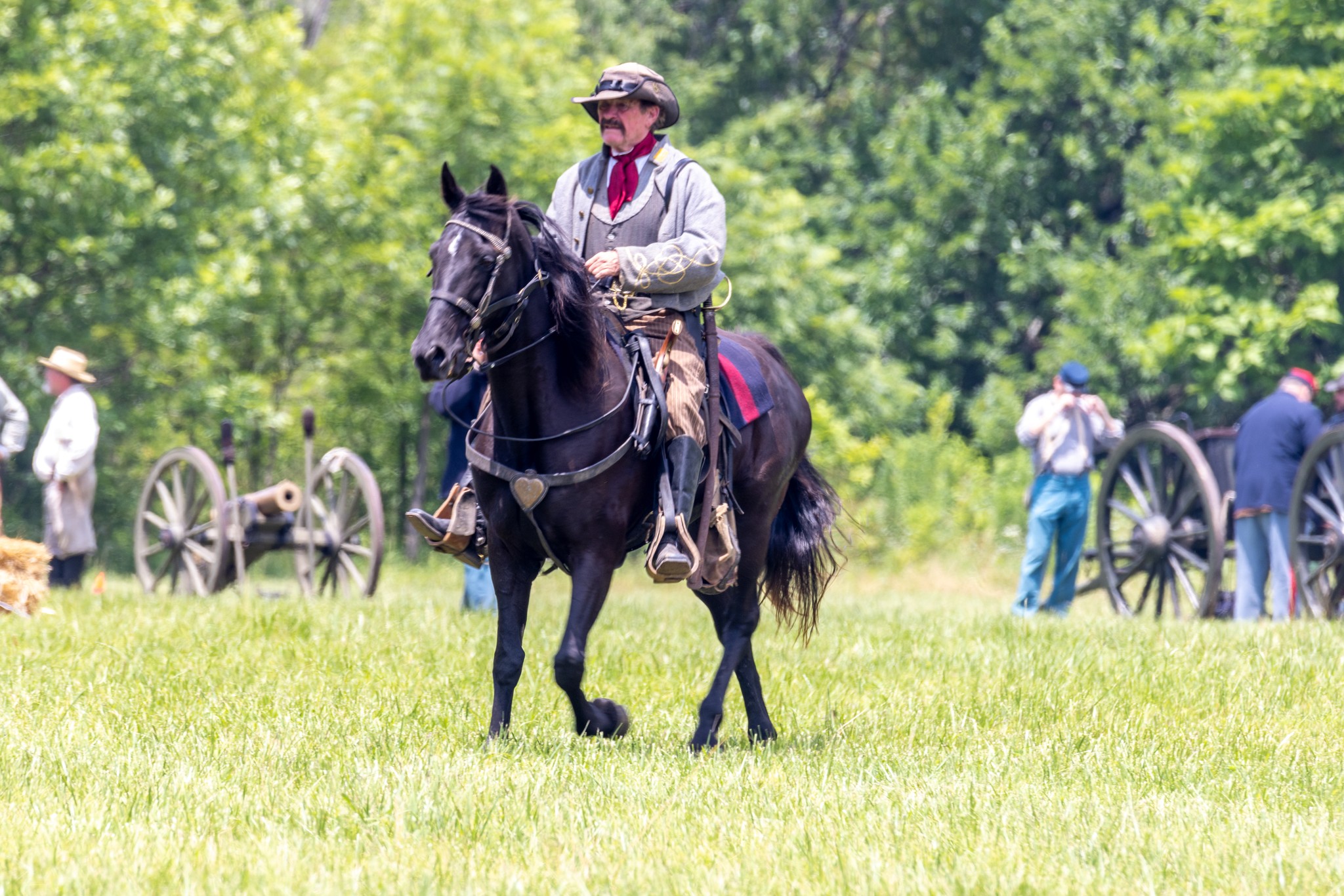 Cavalryman on the field